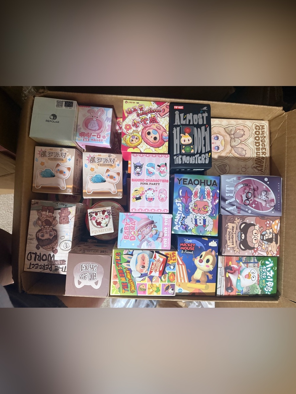 Large box of blind boxes (RR)